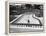 Liberace at the 'Piano' Shaped Pool in His Home-Loomis Dean-Framed Premier Image Canvas