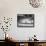 Liberace at the 'Piano' Shaped Pool in His Home-Loomis Dean-Framed Premier Image Canvas displayed on a wall