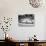 Liberace at the 'Piano' Shaped Pool in His Home-Loomis Dean-Premium Photographic Print displayed on a wall