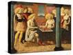 Stretched Canvas Print