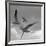 Libertad - Pop-Moises Levy-Framed Premium Photographic Print