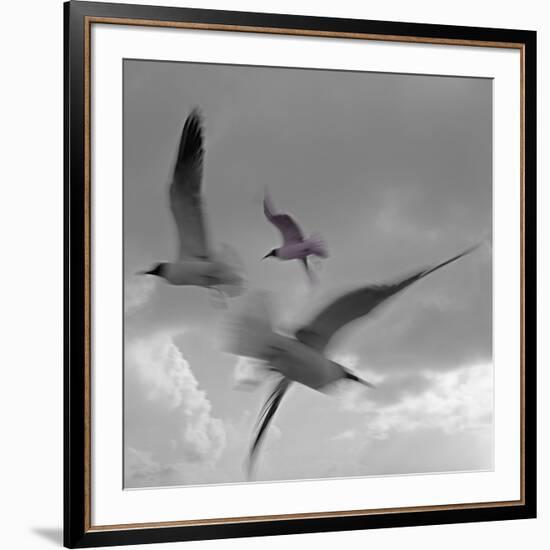 Libertad - Pop-Moises Levy-Framed Premium Photographic Print