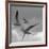 Libertad - Pop-Moises Levy-Framed Premium Photographic Print