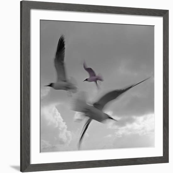 Libertad - Pop-Moises Levy-Framed Premium Photographic Print