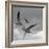 Libertad - Pop-Moises Levy-Framed Photographic Print