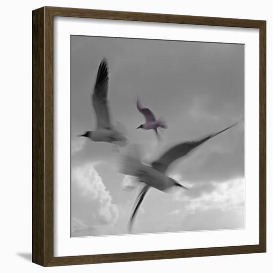 Libertad - Pop-Moises Levy-Framed Photographic Print