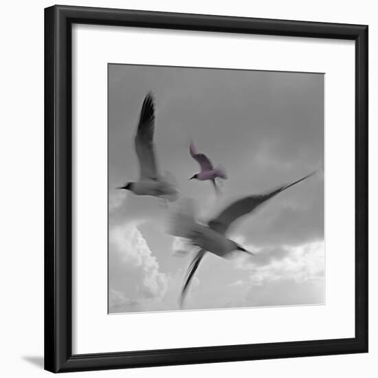 Libertad - Pop-Moises Levy-Framed Photographic Print