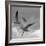 Libertad - Pop-Moises Levy-Framed Photographic Print