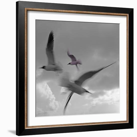 Libertad - Pop-Moises Levy-Framed Photographic Print