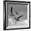 Libertad - Pop-Moises Levy-Framed Photographic Print