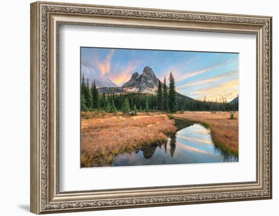 Liberty Bell Mountain reflected in headwaters of State Creek. North Cascades, Washington State-Alan Majchrowicz-Framed Photographic Print