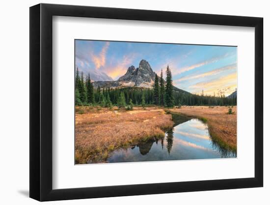 Liberty Bell Mountain reflected in headwaters of State Creek. North Cascades, Washington State-Alan Majchrowicz-Framed Photographic Print