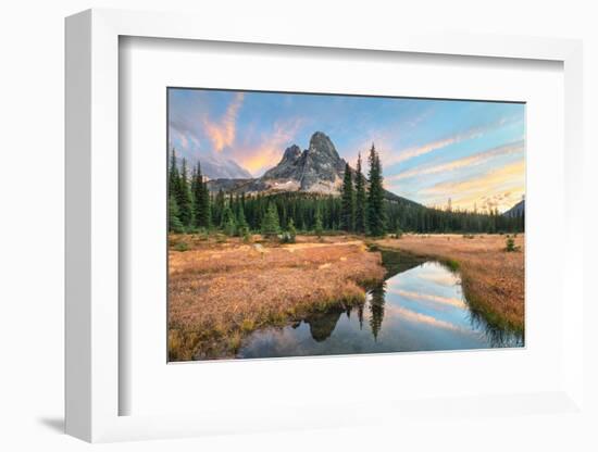 Liberty Bell Mountain reflected in headwaters of State Creek. North Cascades, Washington State-Alan Majchrowicz-Framed Photographic Print