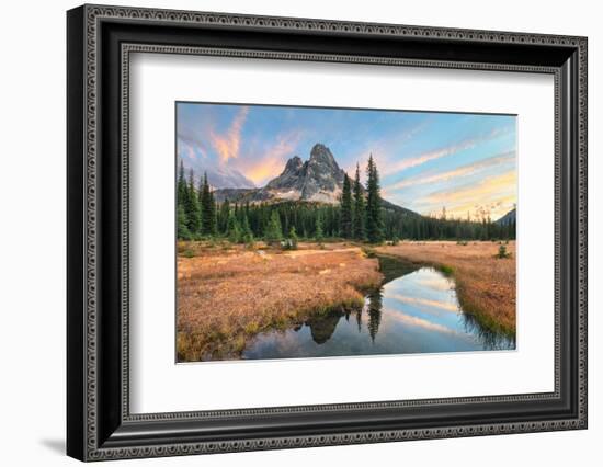 Liberty Bell Mountain reflected in headwaters of State Creek. North Cascades, Washington State-Alan Majchrowicz-Framed Photographic Print