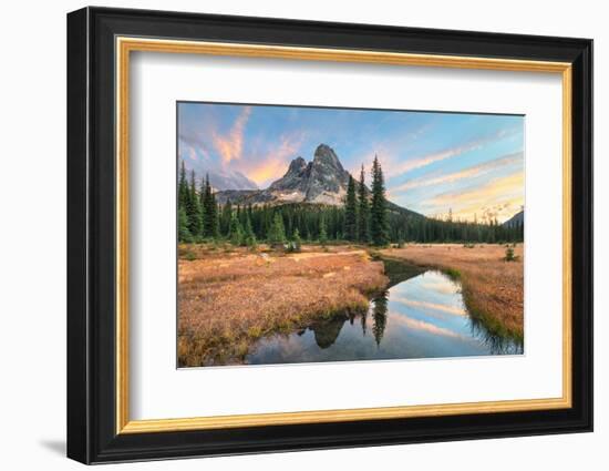 Liberty Bell Mountain reflected in headwaters of State Creek. North Cascades, Washington State-Alan Majchrowicz-Framed Photographic Print
