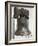 Liberty Bell, Philadelphia, Pennsylvania, USA-De Mann Jean-Pierre-Framed Photographic Print