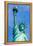 Liberty Statue New York American Symbol USA US-holbox-Framed Premier Image Canvas