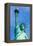 Liberty Statue New York American Symbol USA US-holbox-Framed Premier Image Canvas