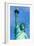 Liberty Statue New York American Symbol USA US-holbox-Framed Photographic Print