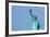 Liberty Statue New York American Symbol USA US-holbox-Framed Photographic Print