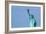 Liberty Statue New York American Symbol USA US-holbox-Framed Photographic Print