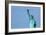 Liberty Statue New York American Symbol USA US-holbox-Framed Photographic Print