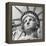 Liberty-Bret Staehling-Framed Stretched Canvas