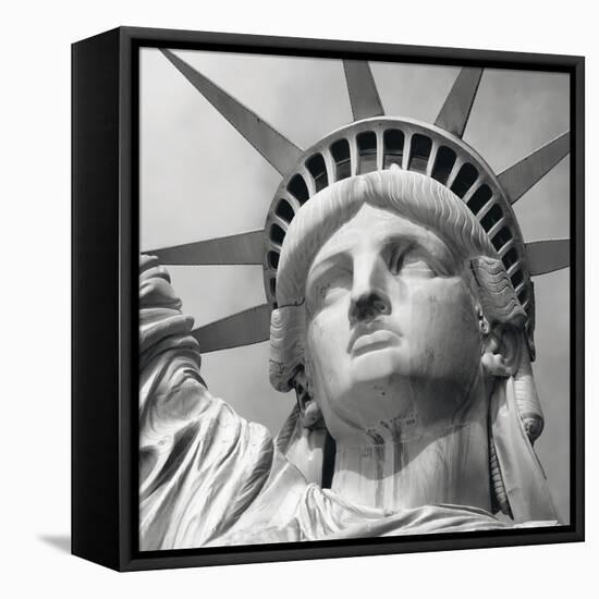 Liberty-Bret Staehling-Framed Stretched Canvas