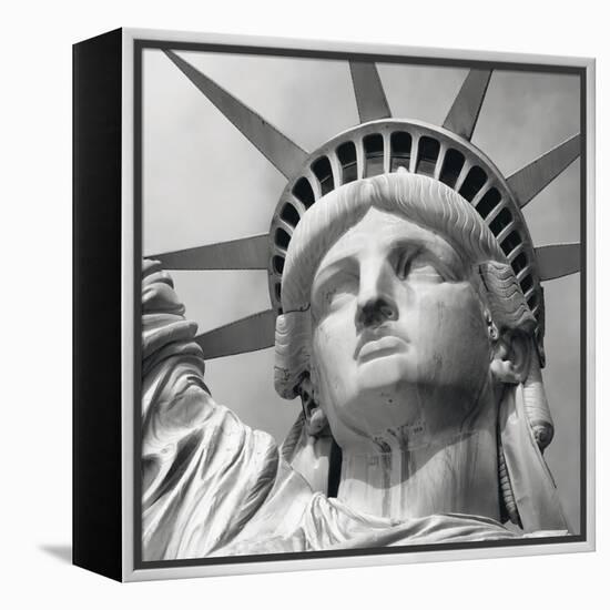 Liberty-Bret Staehling-Framed Stretched Canvas