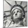 Liberty-Bret Staehling-Mounted Art Print