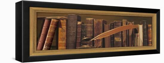 Librairie II-Pela Design-Framed Stretched Canvas