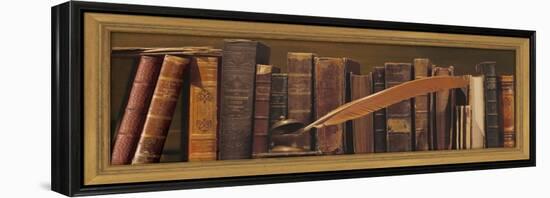 Librairie II-Pela Design-Framed Stretched Canvas