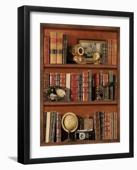 Librairie III-Pela Design-Framed Art Print