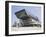 Library and Learning Centre, Designed by Zaha Hadid, University of Economics and Business-Jean Brooks-Framed Photographic Print