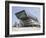 Library and Learning Centre, Designed by Zaha Hadid, University of Economics and Business-Jean Brooks-Framed Photographic Print