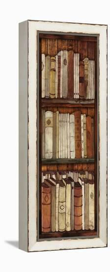 Library II-Elizabeth Medley-Framed Stretched Canvas