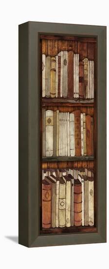 Library II-Elizabeth Medley-Framed Stretched Canvas