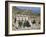 Library of Celsus, Ephesus, Egee Region, Anatolia, Turkey-Bruno Morandi-Framed Photographic Print