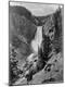 Photographic Print
