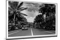 Photographic Print