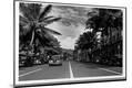 Photographic Print