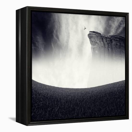 Libre-Luis Beltran-Framed Premier Image Canvas