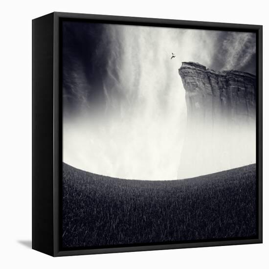 Libre-Luis Beltran-Framed Premier Image Canvas