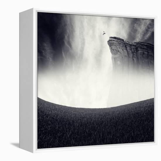 Libre-Luis Beltran-Framed Premier Image Canvas