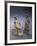 Libya, Cyrene, Terracotta Tanagrine Funeral Statuette in Form of Female Figures-null-Framed Giclee Print