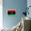 Libya Flag Design with Wood Patterning - Flags of the World Series-Philippe Hugonnard-Framed Stretched Canvas displayed on a wall