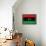 Libya Flag Design with Wood Patterning - Flags of the World Series-Philippe Hugonnard-Framed Stretched Canvas displayed on a wall