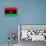 Libya Flag Design with Wood Patterning - Flags of the World Series-Philippe Hugonnard-Framed Stretched Canvas displayed on a wall