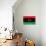 Libya Flag Design with Wood Patterning - Flags of the World Series-Philippe Hugonnard-Art Print displayed on a wall