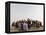 Libyan Camel Riders Holding Flags of Arab Countries Gather to Perform at Sirte Airport-null-Framed Premier Image Canvas